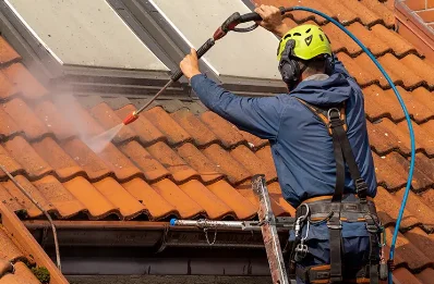 Démoussage et hydrofuge de toiture à Lucarré